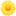 🌼