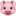🐷